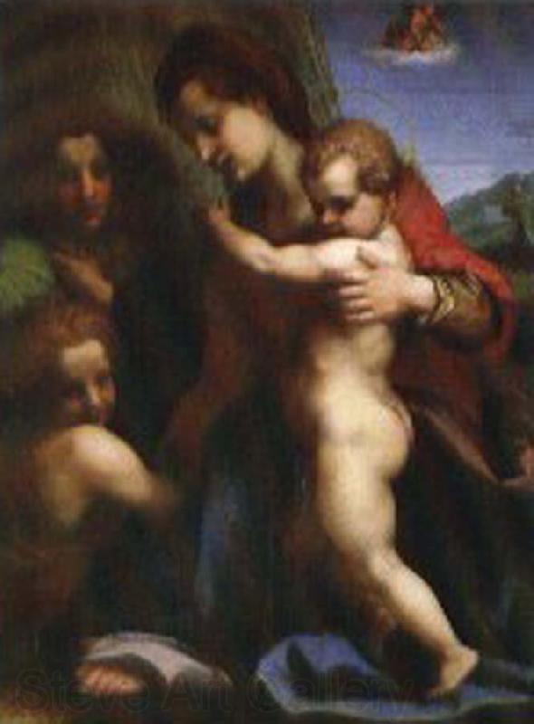 Andrea del Sarto Our Lady of sub Spain oil painting art